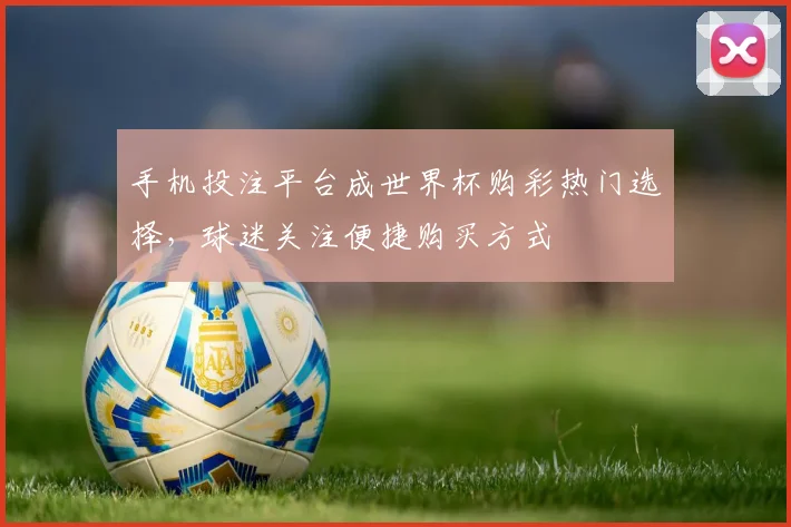 手机投注平台成世界杯购彩热门选择,球迷关注便捷购买方式