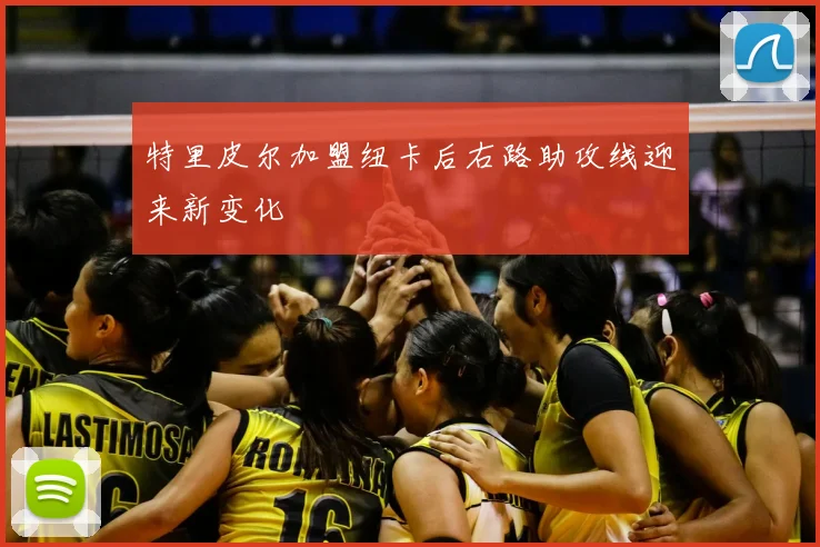 特里皮尔加盟纽卡后右路助攻线迎来新变化
